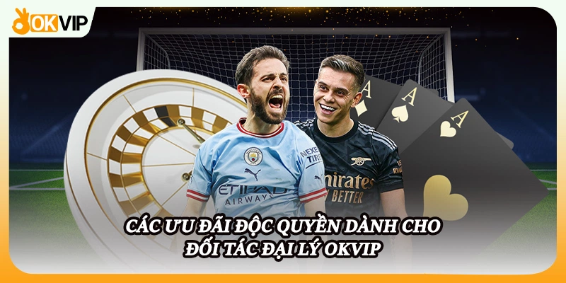 Các ưu đãi độc quyền dành cho đối tác đại lý OKVIP