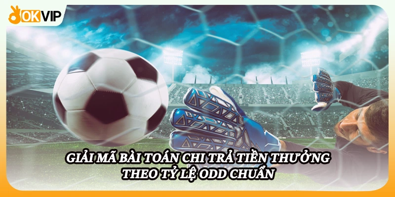 Giải mã bài toán chi trả tiền thưởng theo tỷ lệ Odd chuẩn